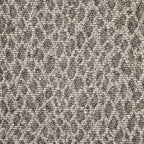 Grey Ghost Leopard