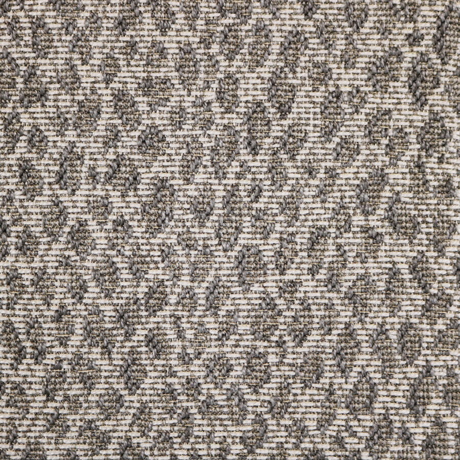 Grey Ghost Leopard