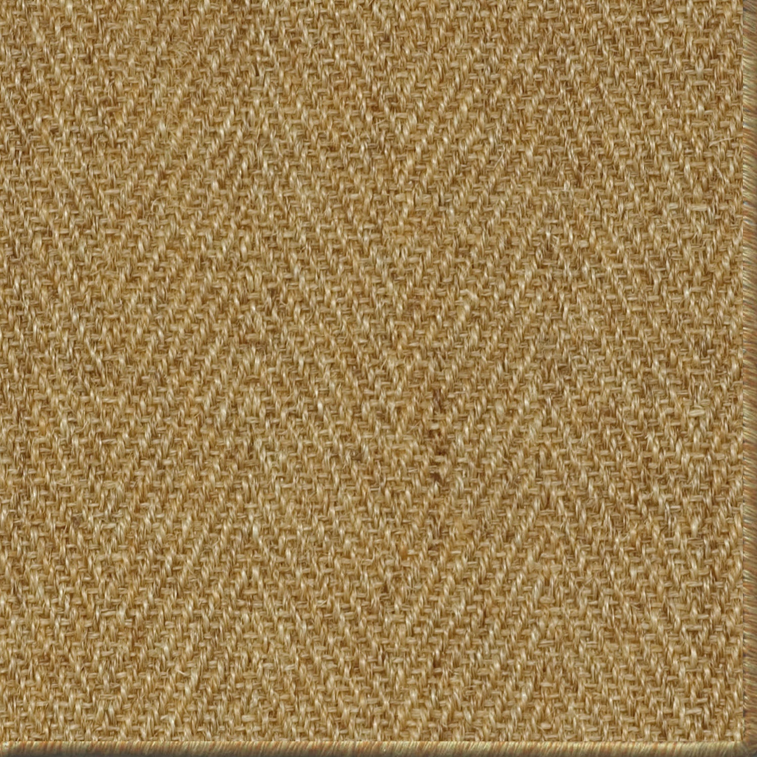 Tropical Sands
