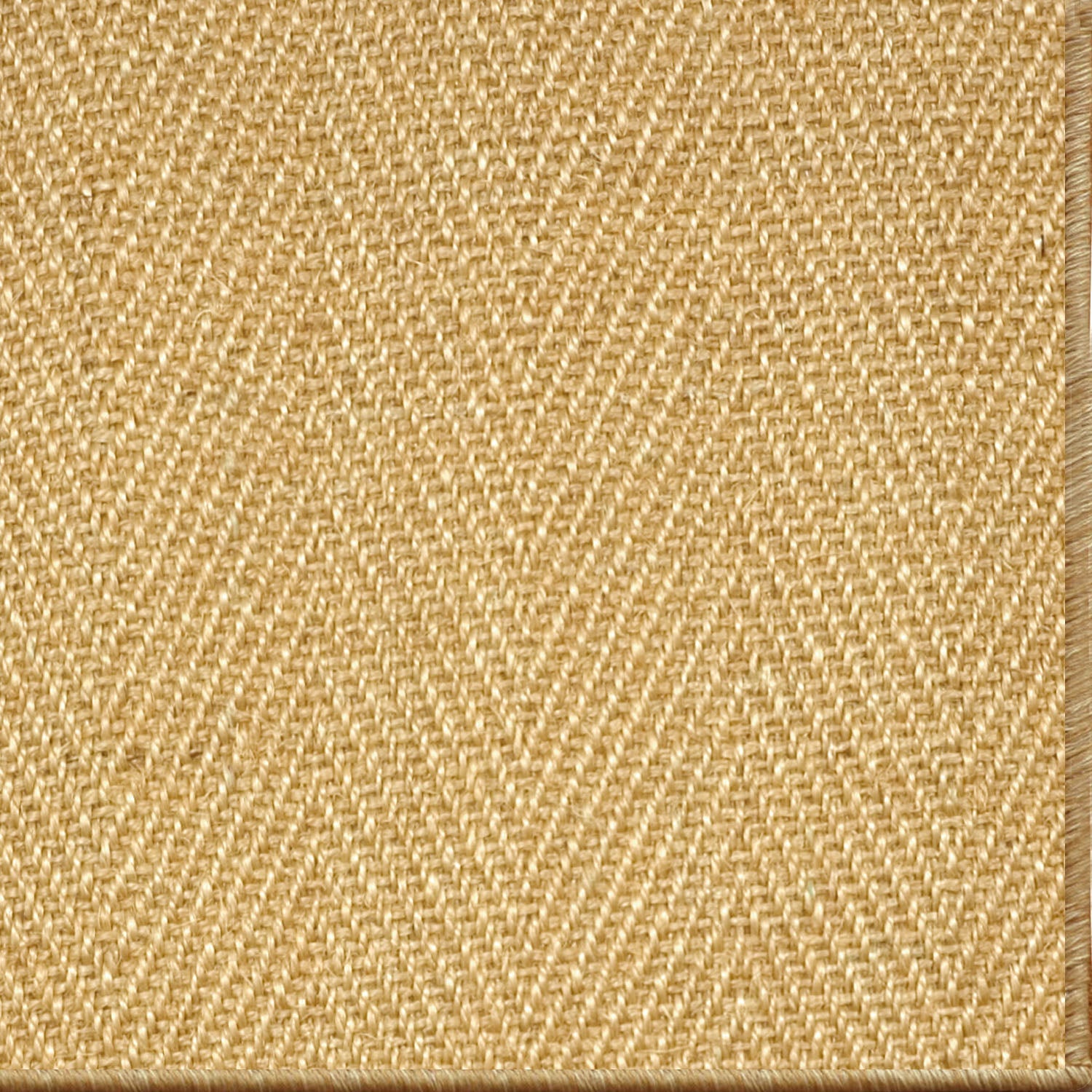 Tropical Sands